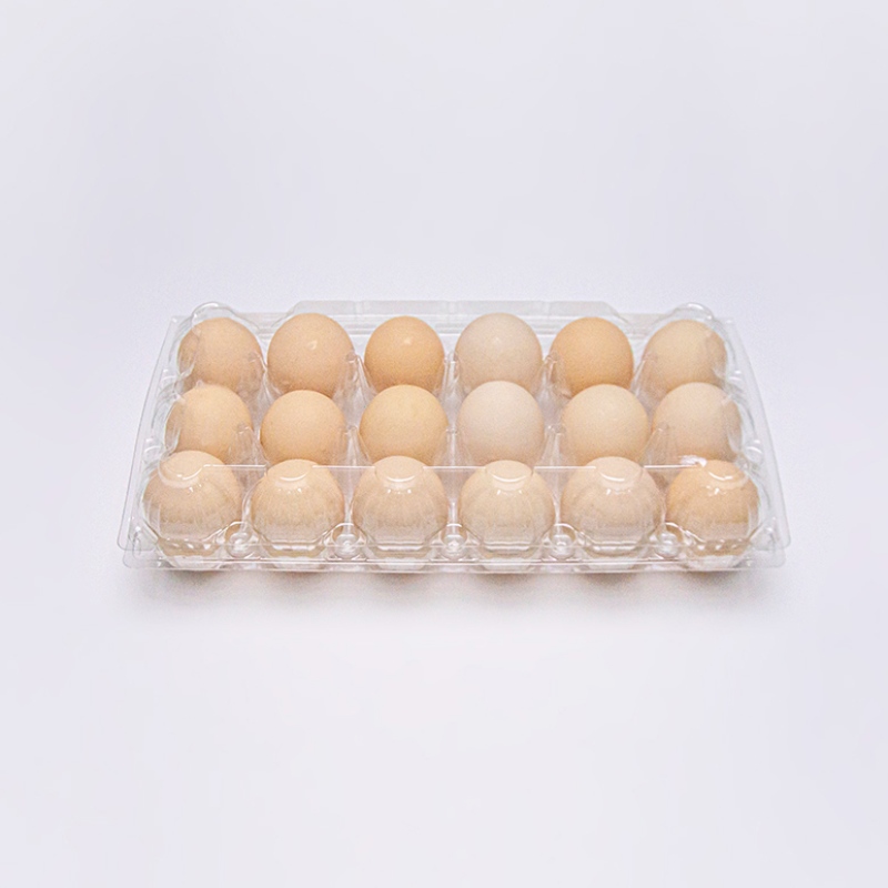 Embalagem de bolha de ovos
